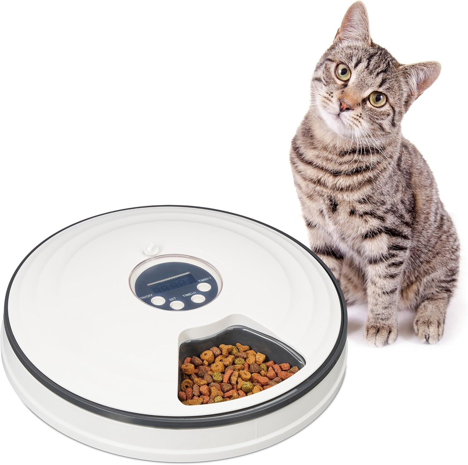 Automatic Cat Feeder